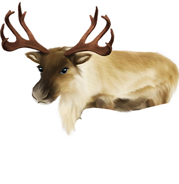 Reindeer body